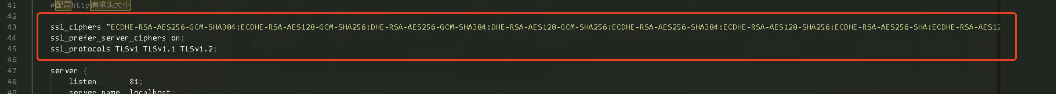 nginx SSL